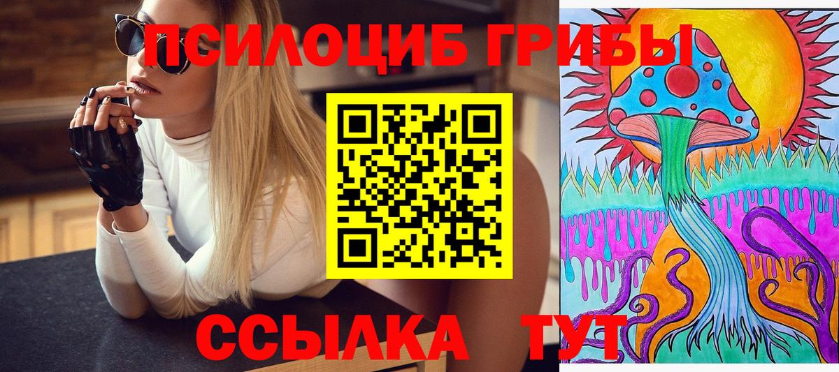 Волгодонск  Псилоцибиновые грибы мицелий  Вход с VPN 